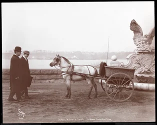 Twee mannen, pony en kar, New York, 1910 of 1911 (zilveren gelatin afdruk)